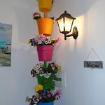فندق Rainbow