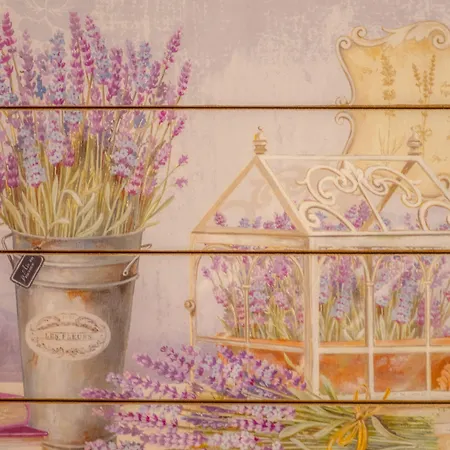 Rainbow Арма-ди-Таджа